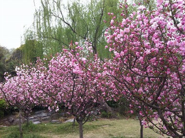 sIMG_0894.jpg