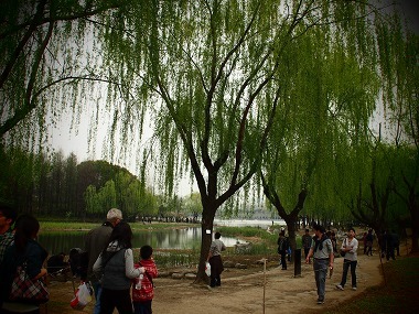 sP4085787.jpg
