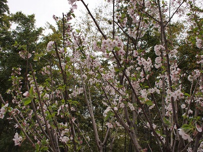 sP4085801.jpg