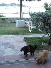 003_sDSCN0293.jpg