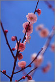 iw-IWF063_014.jpg