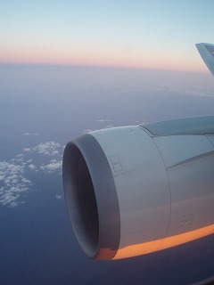 s-P2010450.jpg