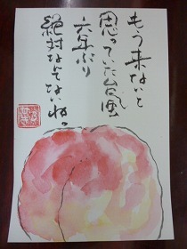 s049.jpg