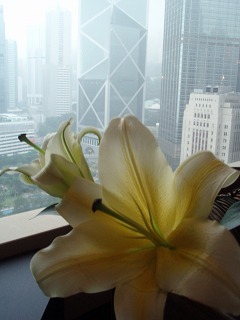 s201004Macau-HongKong222.jpg
