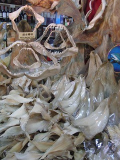 sCIMG1809.jpg