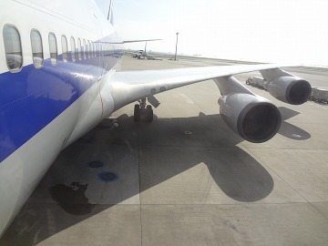 sDSC01435.jpg