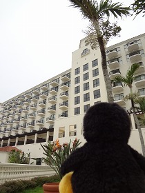 sDSC02281.jpg