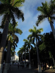 sDSCN0425.jpg