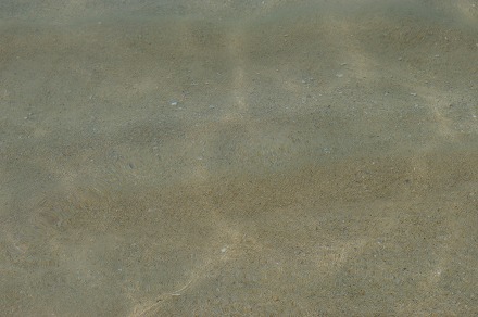 sIMGP0095.jpg