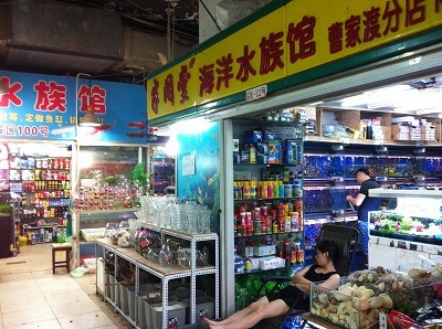 sIMG_3804.jpg