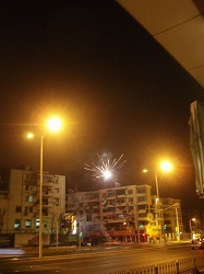 sP1010504.jpg