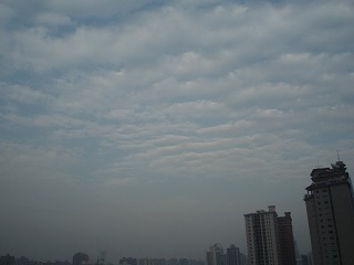 sP1010527.jpg