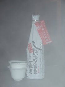sP1080244.jpg
