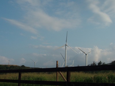 sP2050606.jpg