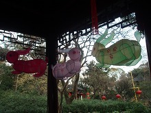 sP2220886.jpg