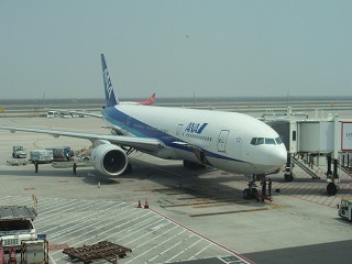 sP4141285.jpg