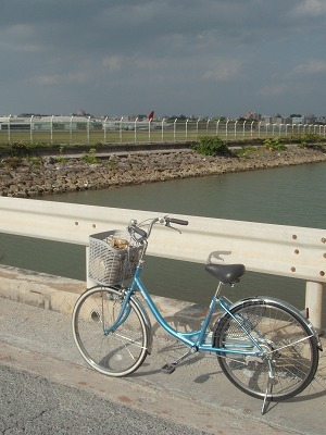 sP4201494.jpg