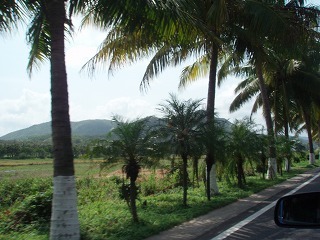 sP5041858.jpg