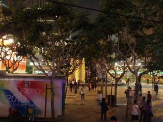 sP6062244.jpg