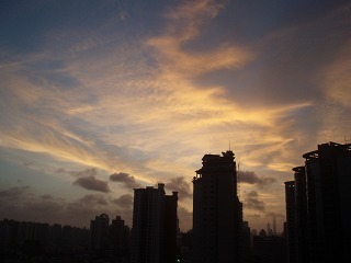 sP7190541.jpg