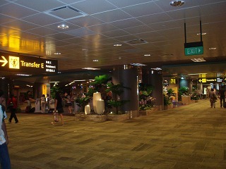 sP8080555.jpg