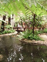 sP8080557.jpg