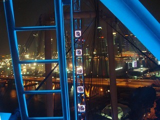 sP8080603.jpg