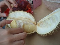 sP8090621.jpg