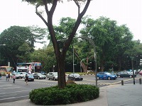 sP8100633.jpg