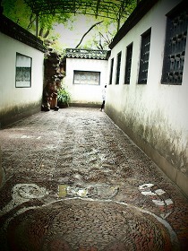sP8270545.jpg