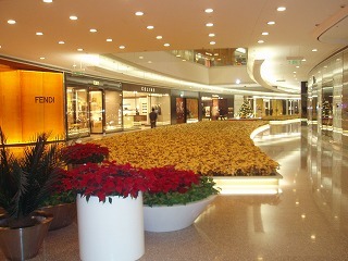 sPB300539.jpg