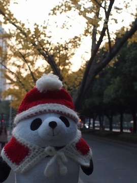 sPC104881.jpg