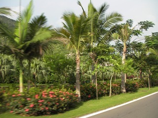 sSANY0171.jpg