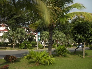 sSANY0173.jpg