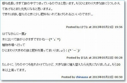 shua_comment1.jpg