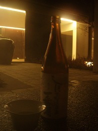 ssP1080248.jpg